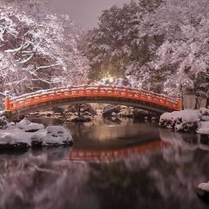 Meet your Posher, Jessie